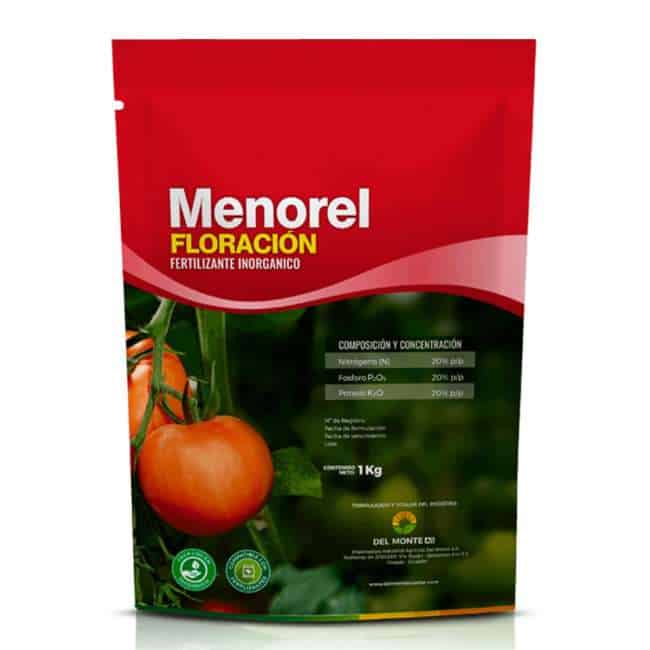 Menorel Inicio Del Monte AG