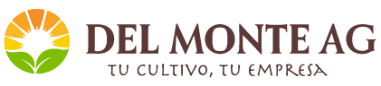 Del Monte AG